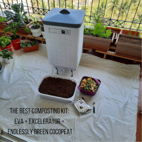 Rich results on Google's SERP when seraching for 'Compost speed-up'. 'Endlessly Green compost culture', compost microbes