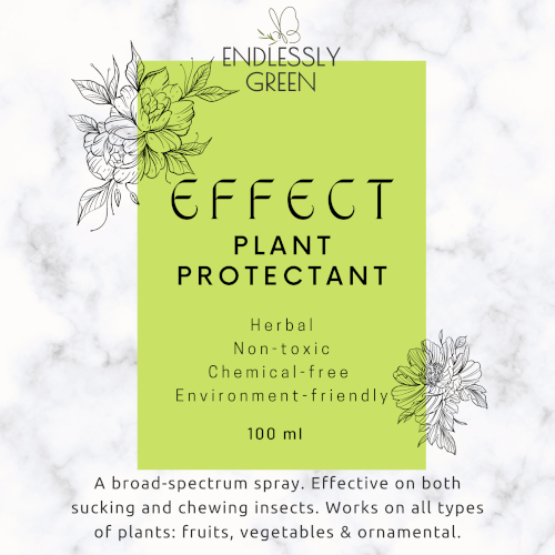 Rich results on Google's SERP when seraching for 'Herbal organic spray', 'Herbal pesticides', 'organic pesticide', 'Endlessly Green herbal spray'