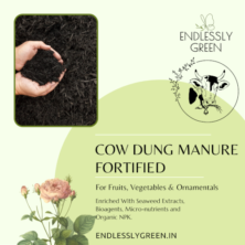 Rich results on Google's SERP when seraching for 'desi cow dung manure', 'Endlessly Green cow dung compost manure'