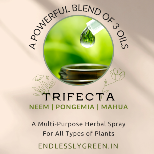 Trifecta Herbal Spray - pack of 2 - 100 ml each - Image 2