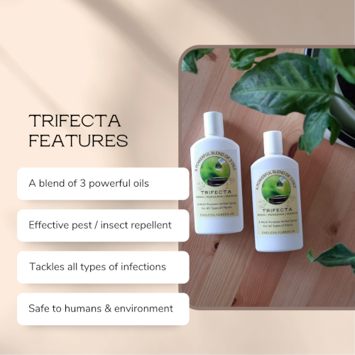 Trifecta Herbal Spray - pack of 2 - 100 ml each - Image 3
