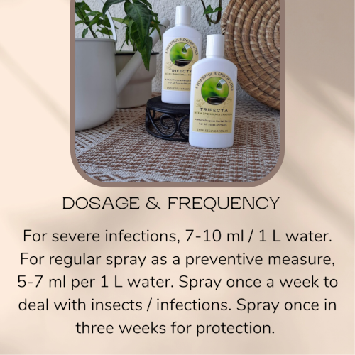 Trifecta Herbal Spray - pack of 2 - 100 ml each - Image 5