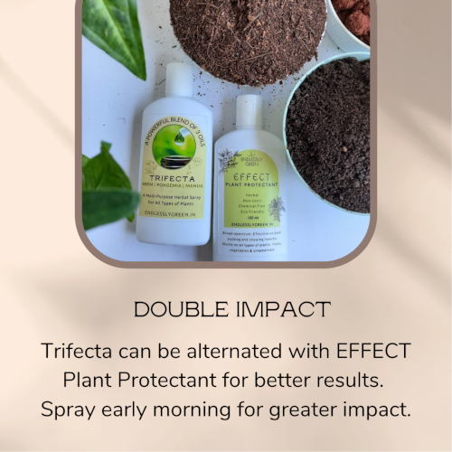 Trifecta Herbal Spray - pack of 2 - 100 ml each - Image 7